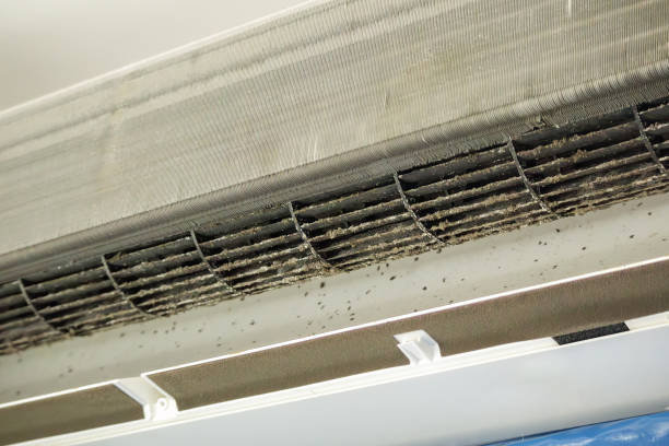 Best Residential Air Duct Cleaning  in Lykens, PA